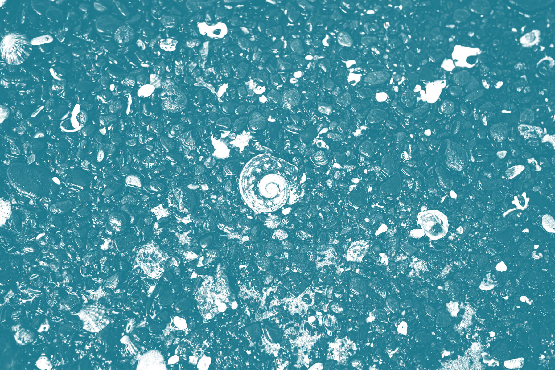 Blog Thumbnail Image