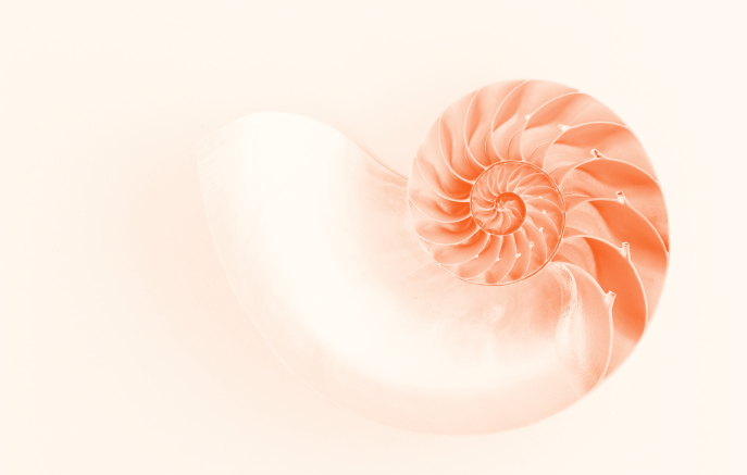 Blog Thumbnail Image