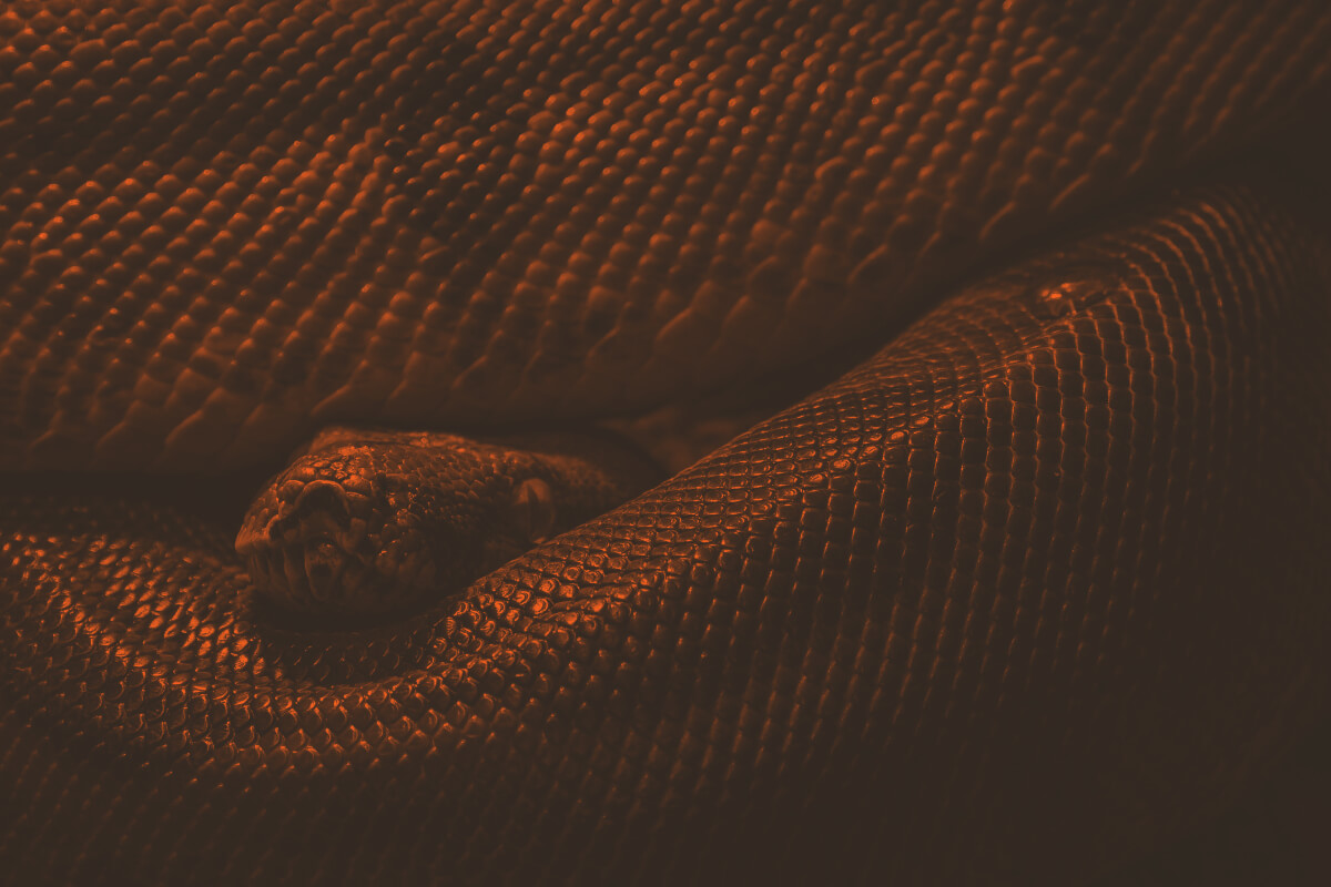 Blog Thumbnail Image